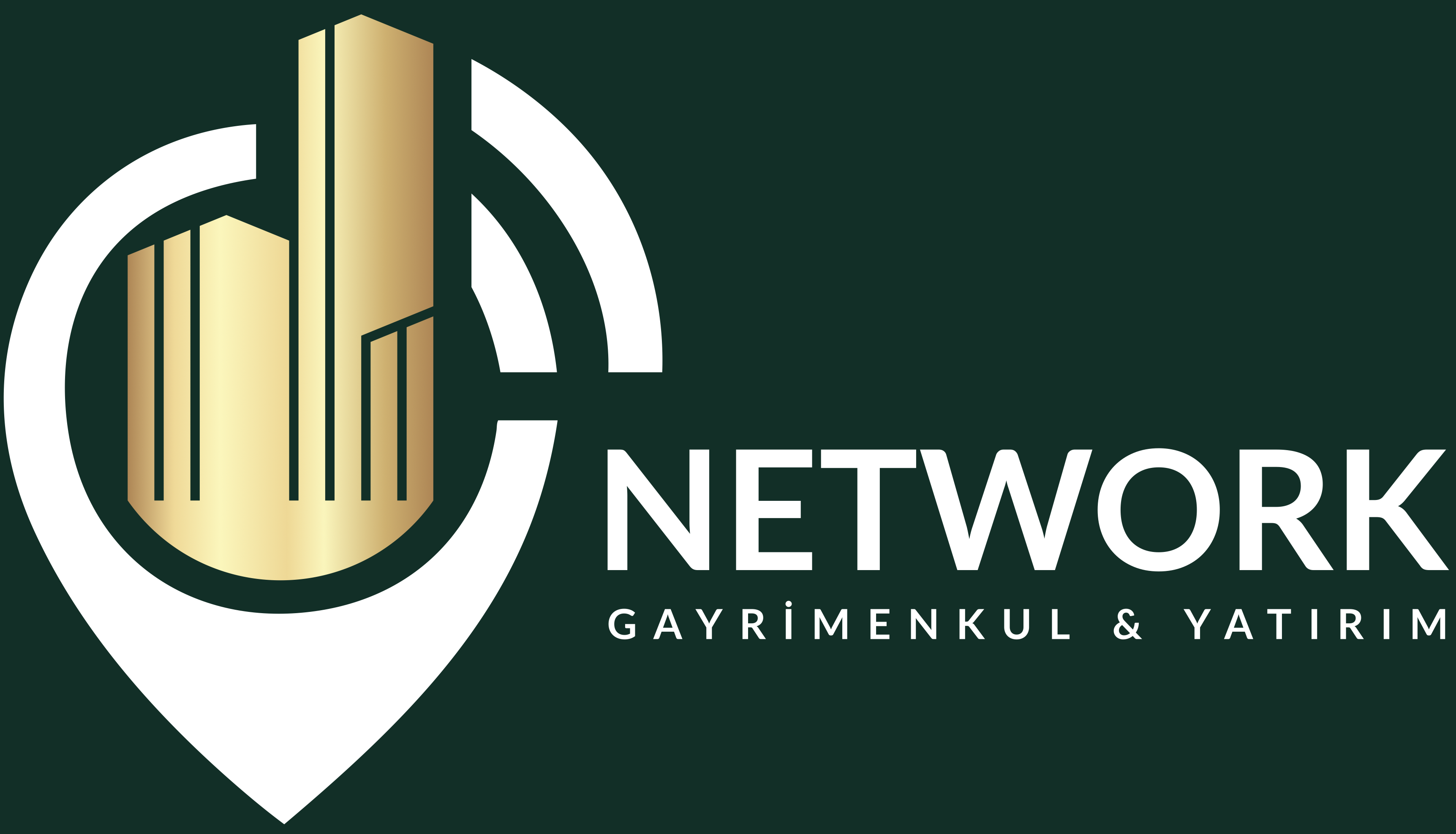 Network Gayrimenkul Logo